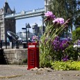 LAWINE auf Auslandseinsatz – in der Weltmetropole London haben wir nach den kleinen Dingen Ausschau gehalten. „Pothole Gardening” ist eine etwas andere Form des Guerilla...